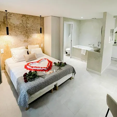 Апартаменты Loveroom Muse Old Town Jacuzzi Vieille Анси